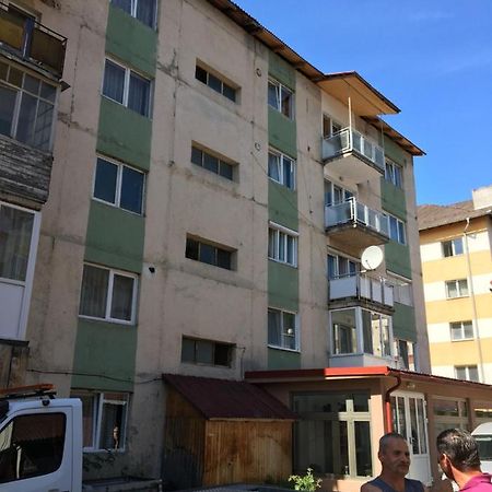 Apartamente Gildo 20 Borşa Buitenkant foto